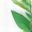 Eco-conscious Icon